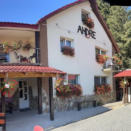 Cabana Andre Vârtop Buitenkant foto
