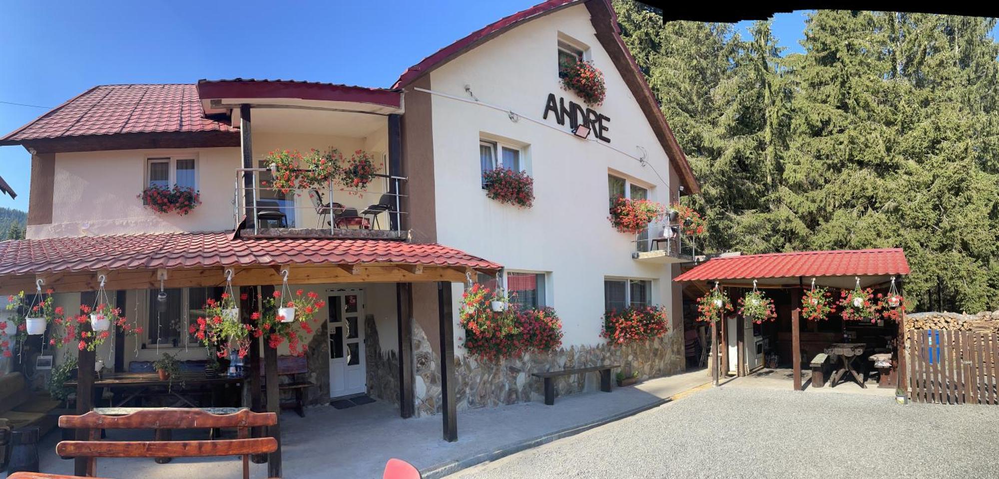 Cabana Andre Vârtop Buitenkant foto