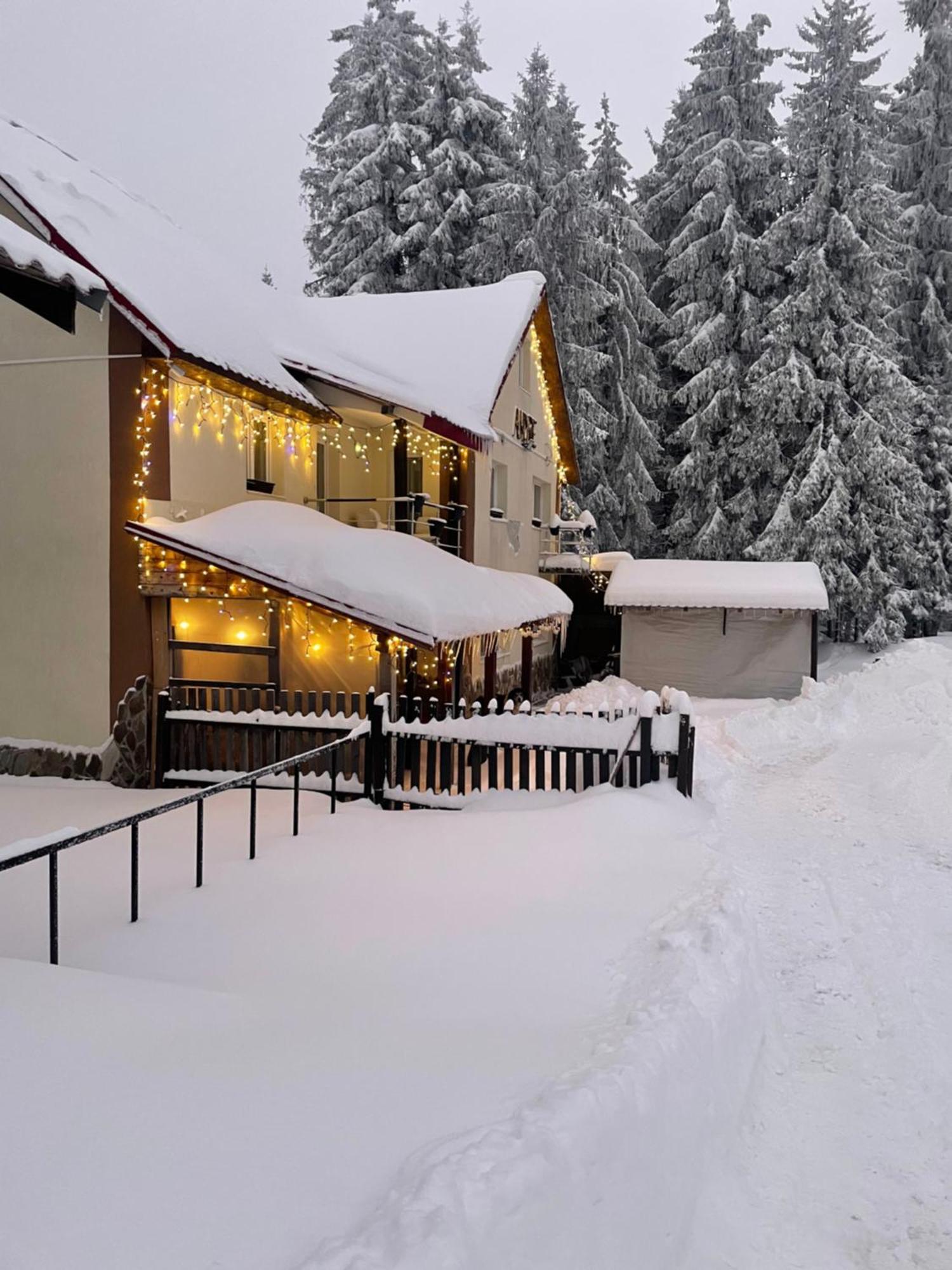 Cabana Andre Vârtop Buitenkant foto